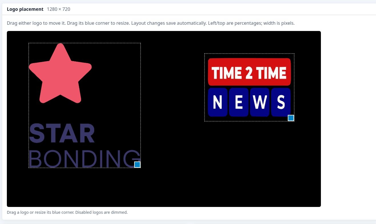 Logo placement control panel screenshot